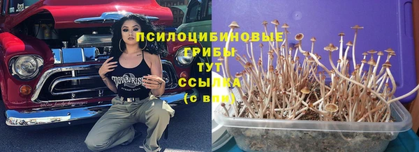 прущая мука Липки